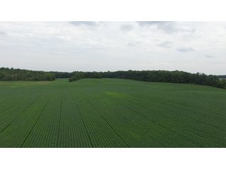 Property photo 13 - LAND AUCTION - 89.5+/- ACRES IN 3 TRACTS IN WILLIAMS COUNTY, OHIO